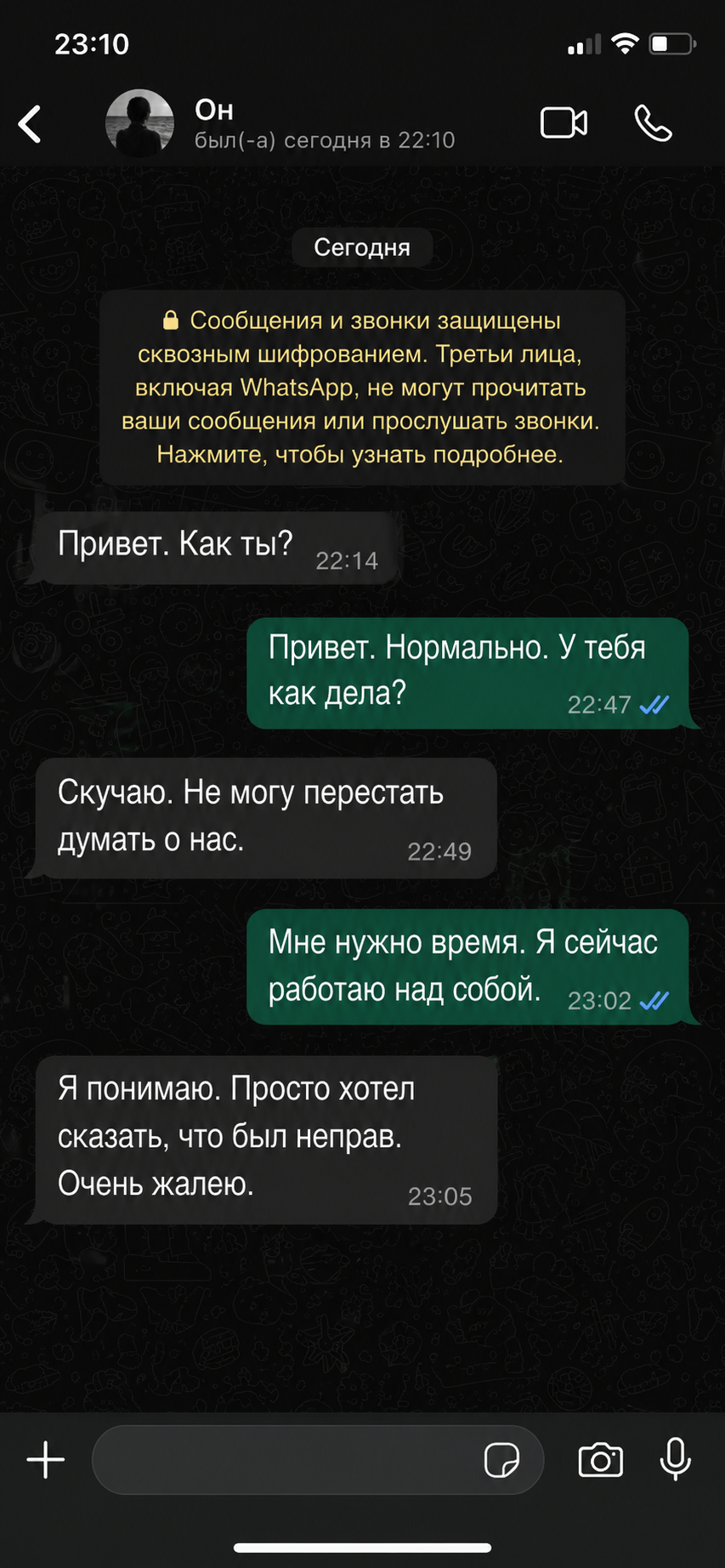 Скриншот переписки
